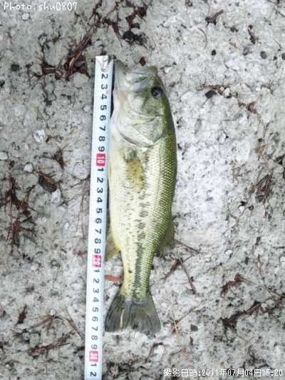 �֥�å��Х�