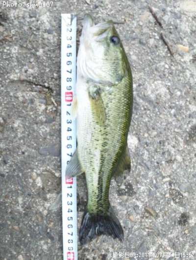 �֥�å��Х�