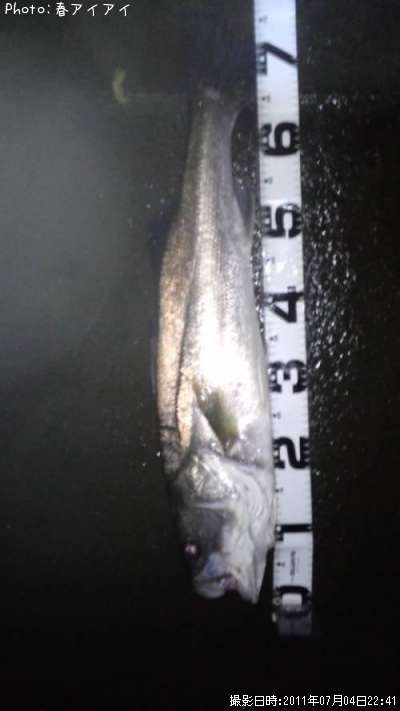 �����Х�