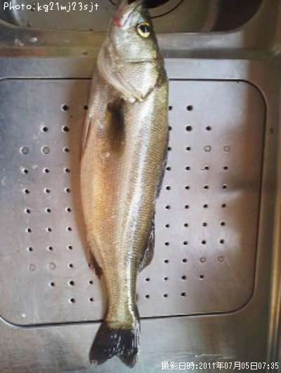 �����Х�