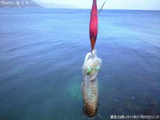 �����ꥤ��