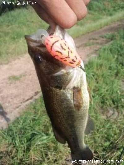 �֥�å��Х�