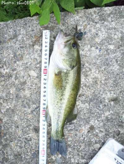 �֥�å��Х�