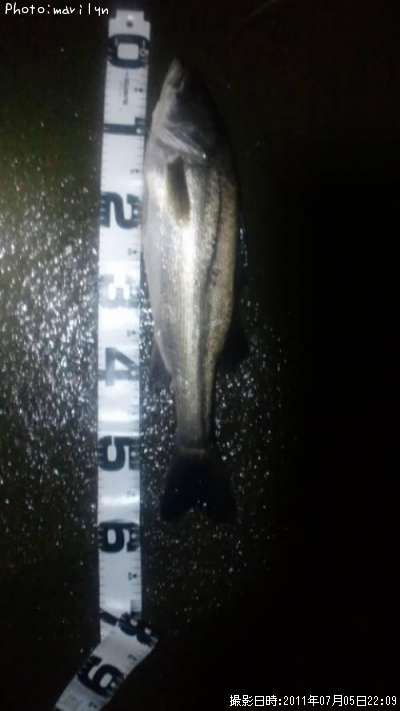 �����Х�