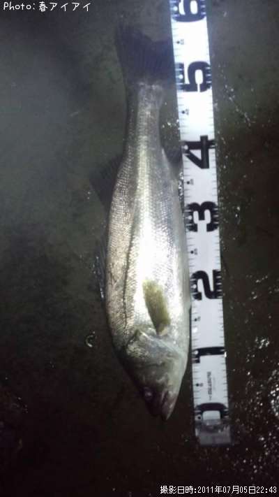 �����Х�