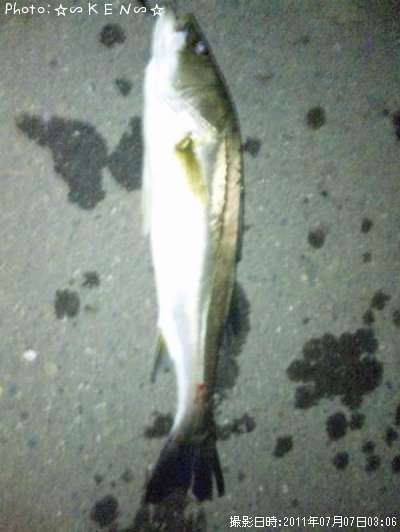 �����Х�