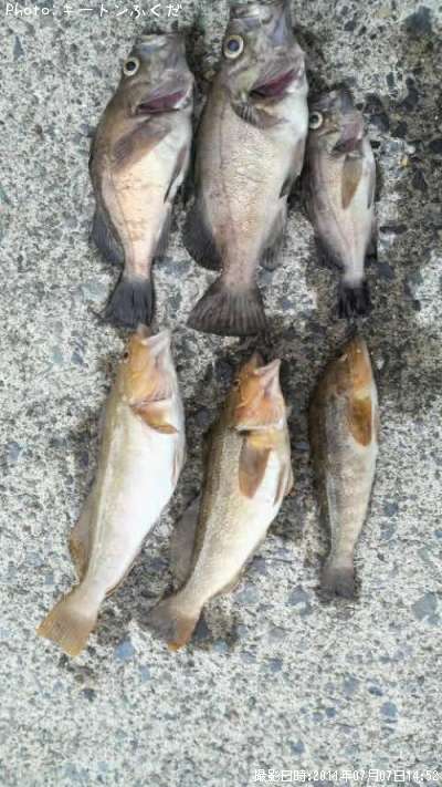 �����ʥ�ȥ�Х�