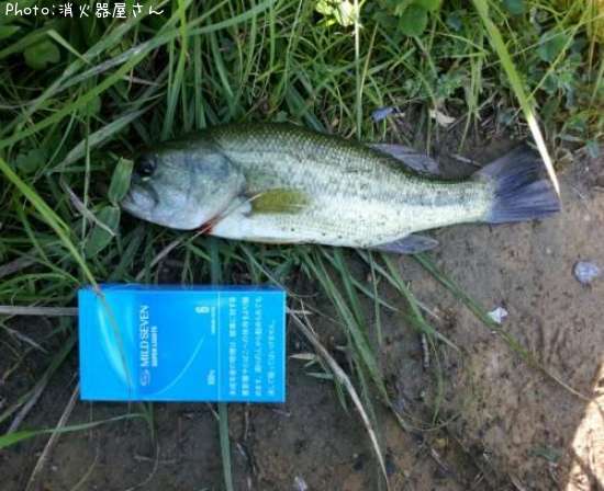 �֥�å��Х�