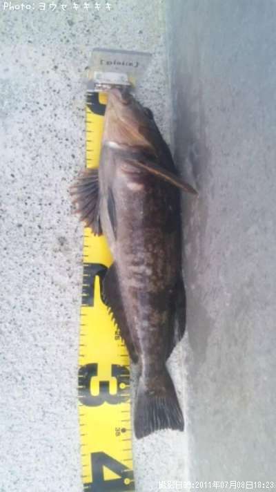 �����ʥ�