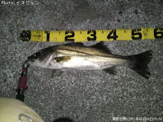 �����Х�
