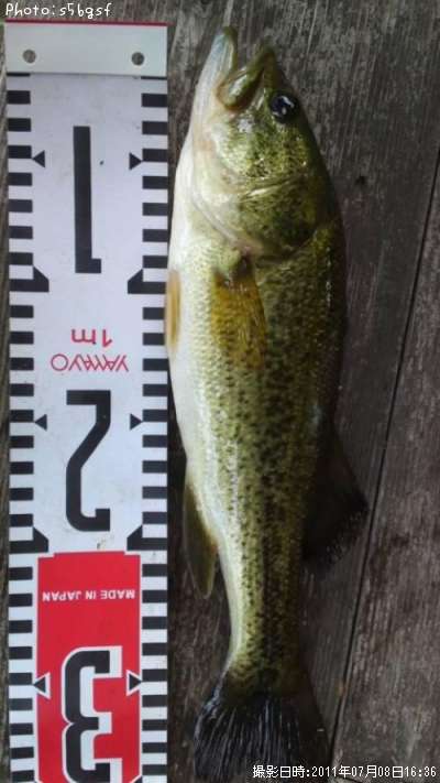 �֥�å��Х�