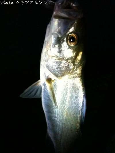 �����Х�