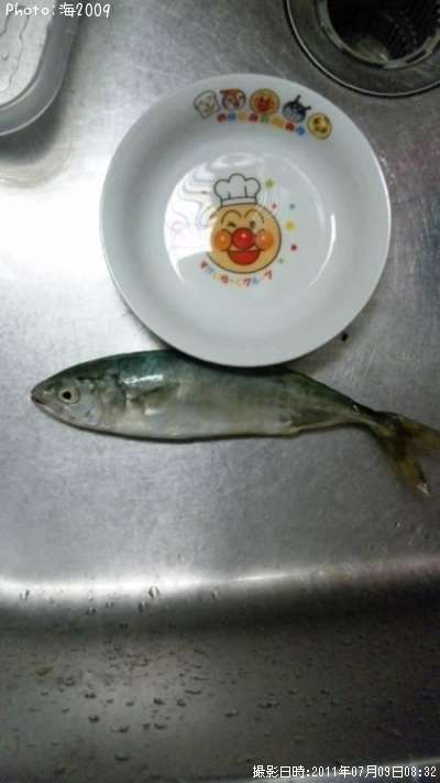 �����å�