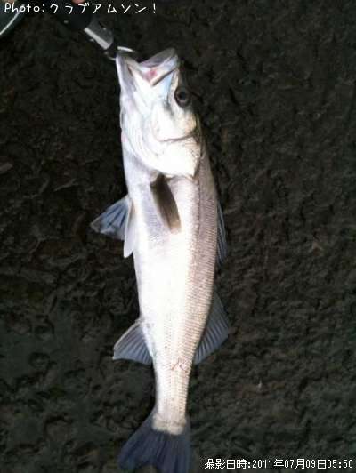 �����Х�