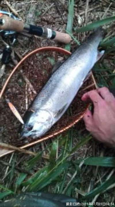 ������ޥ�