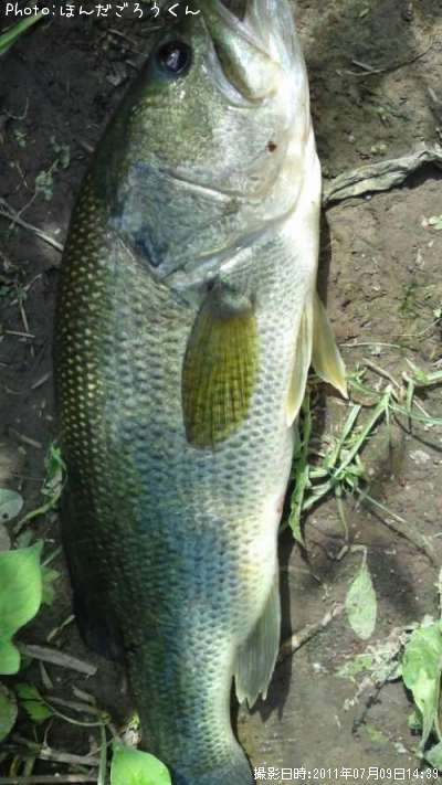 �֥�å��Х�