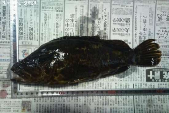 �����Υ���Х�