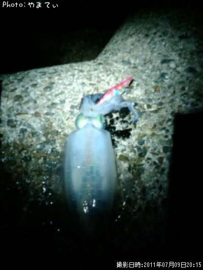 �����ꥤ��