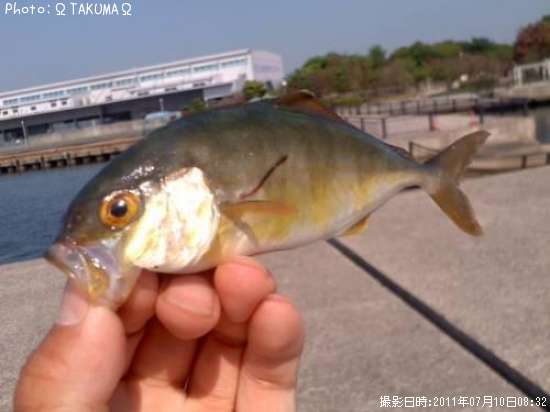 ��å����