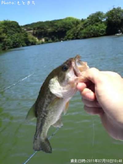 �֥�å��Х�