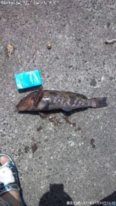 �����ʥ�