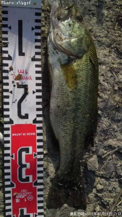 �֥�å��Х�