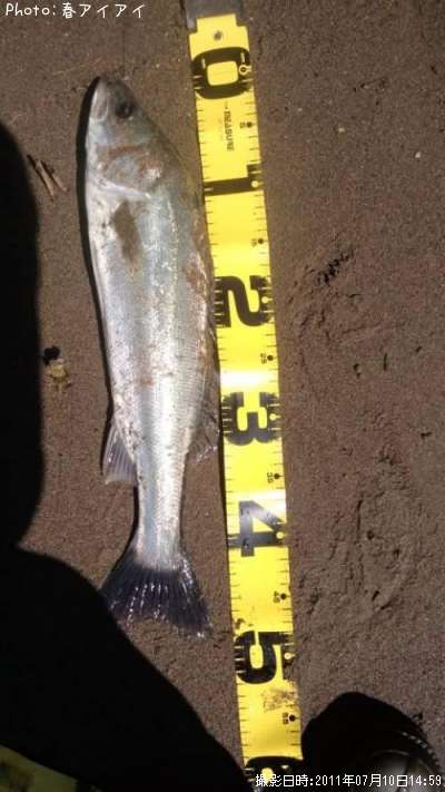 �����Х�