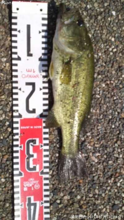 �֥�å��Х�