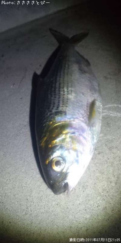 ���Υ���