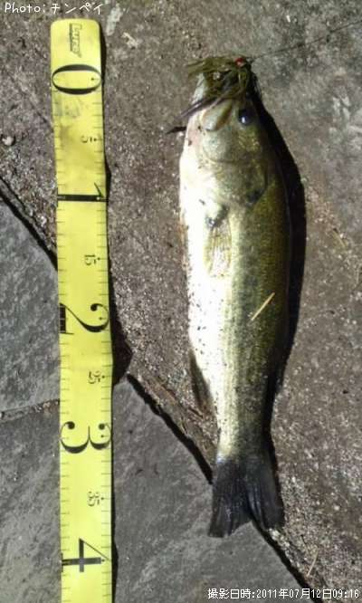 �֥�å��Х�