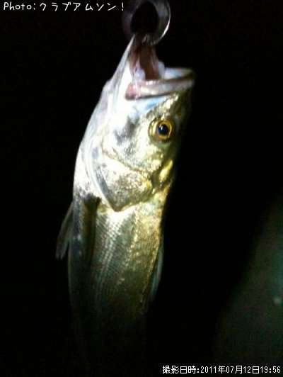 �����Х�