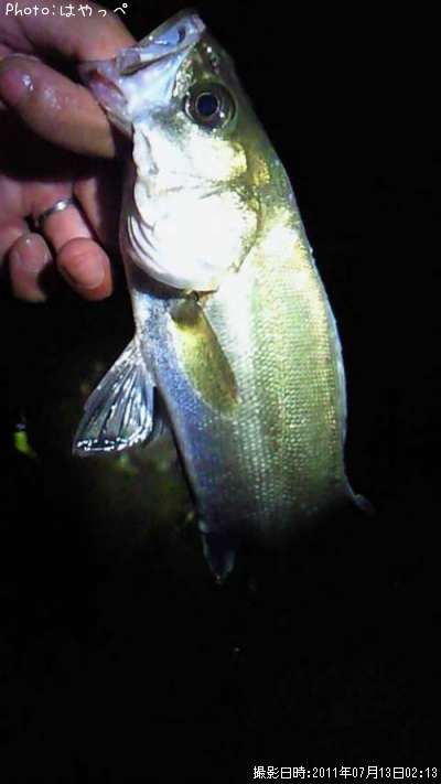 �����Х�