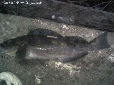 �����ʥ�