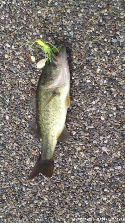 �֥�å��Х�