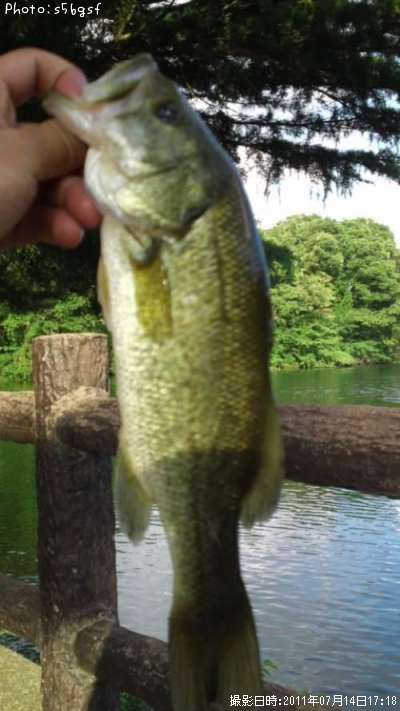 �֥�å��Х�