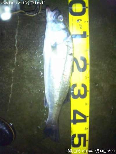 �����Х�