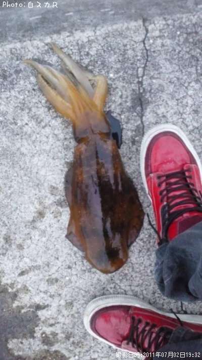 �����ꥤ��