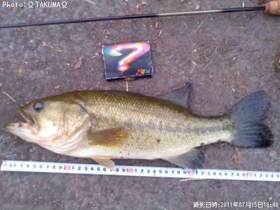 �֥�å��Х�