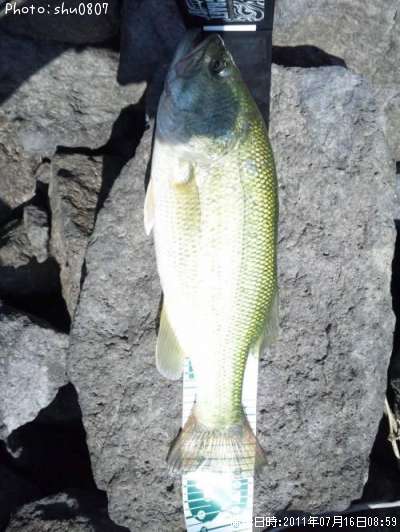 �֥�å��Х�