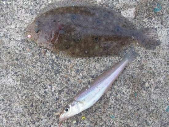 ����
