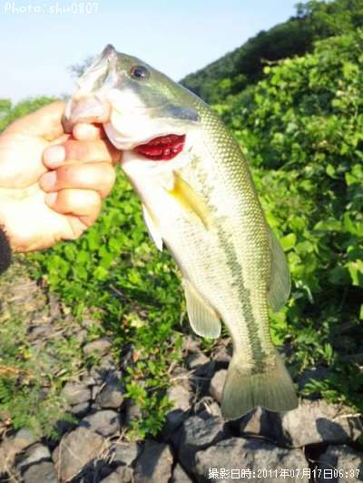 �֥�å��Х�