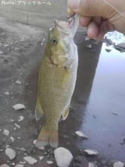 ���⡼��Х�