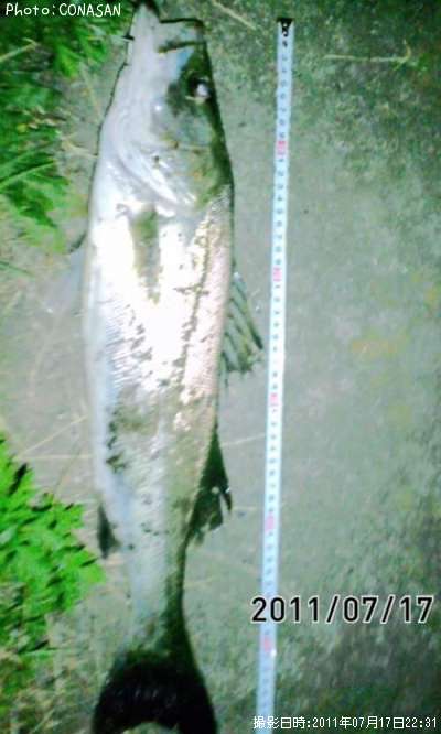 �����Х�