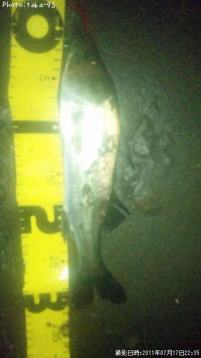 �����Х�