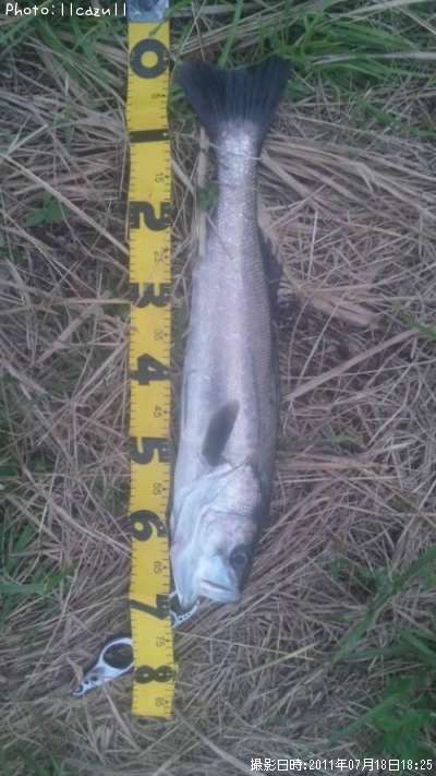 �����Х�