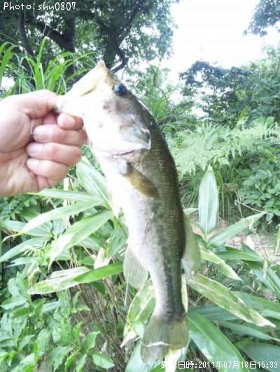 �֥�å��Х�