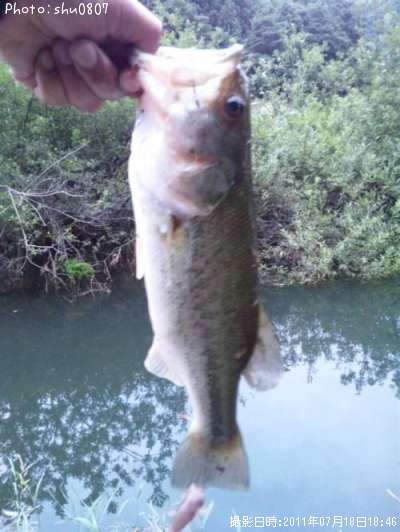 �֥�å��Х�