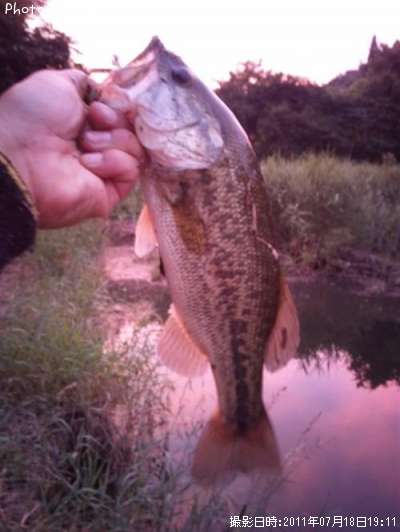 �֥�å��Х�