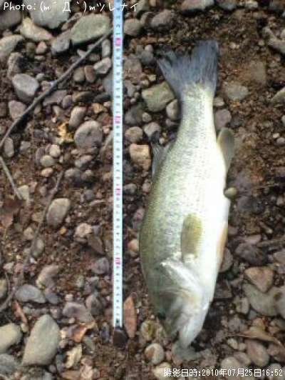 �֥�å��Х�