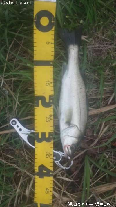 �����Х�